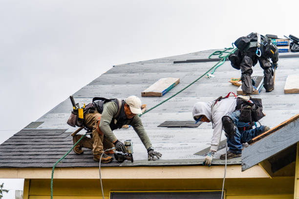 Professional Roofing technician working in Champlain, VA